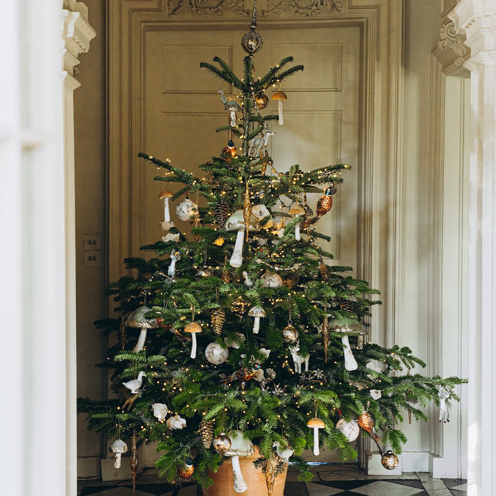 We also offer a personalised bespoke tree decorating service for seasonal events, hospitality and corporate clients across London and Surrey. We design, create and install the most breath-taking Christmas Trees and complementing festive decorations that create commercial impact and Christmas wow factor for your business or venue. A professionally themed and installed decorated Christmas Tree will make your business stand out, attract potential new clientele and gain social media exposure, whilst sending an all-important message of seasonal celebration and happiness.