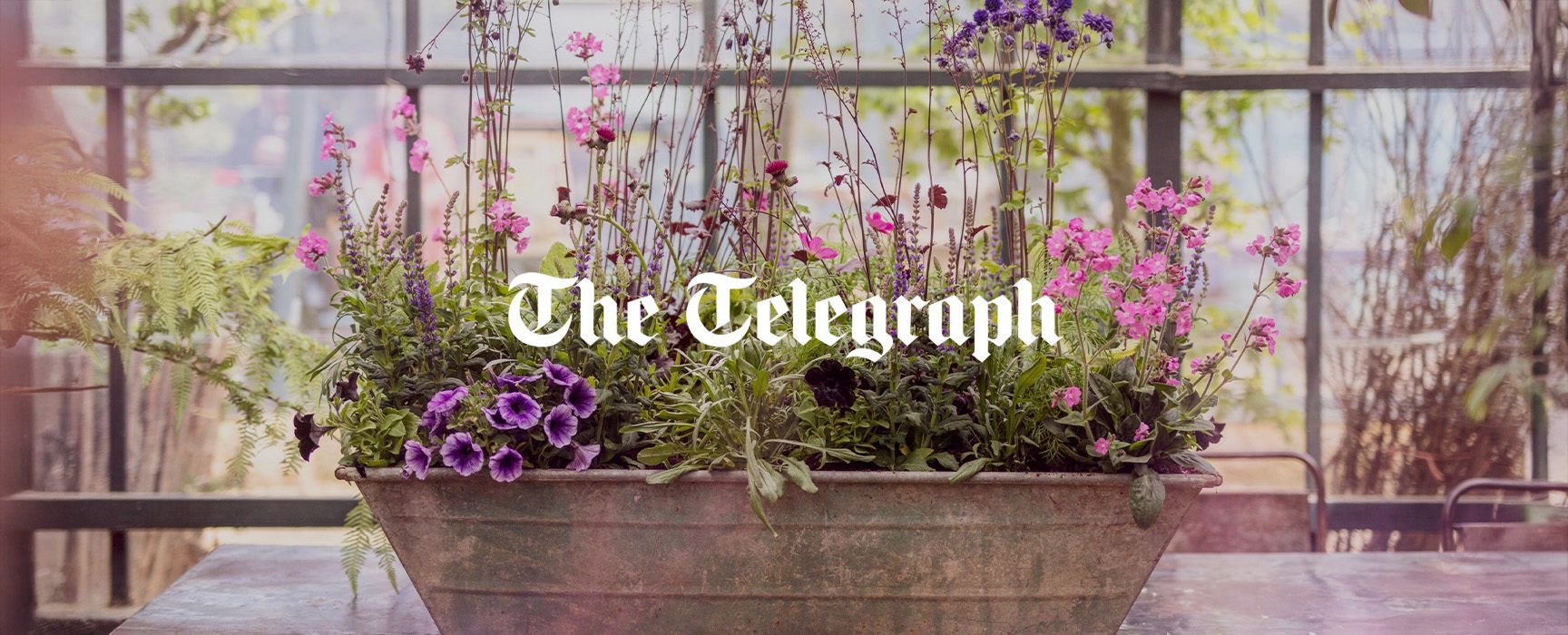 Petersham the telegraph