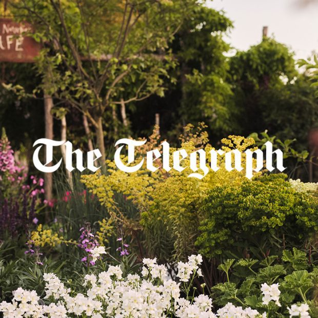 The Telegraph - The best independent garden centres to visit this spring